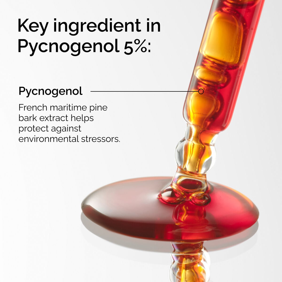 pycnogenol-5-d5 FY25-D41247-ORD-Web-PDP-Pyc-5pct-1x1-EN-2a.jpg