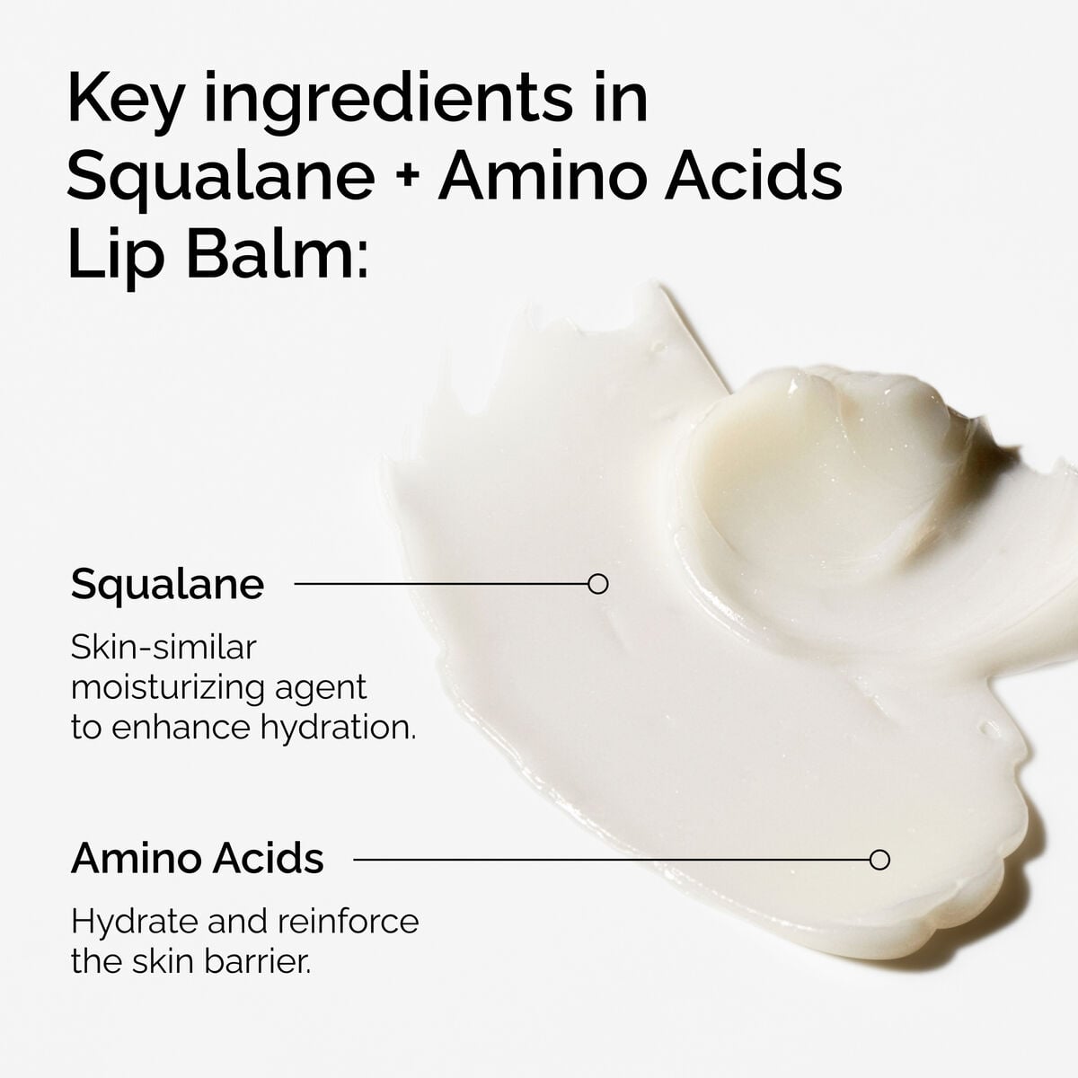 squalane-amino-acids-lip-balm-d7 FY25-D41247-ORD-Web-PDP-Sql-Amino-Lip-1x1-EN-2a.jpg