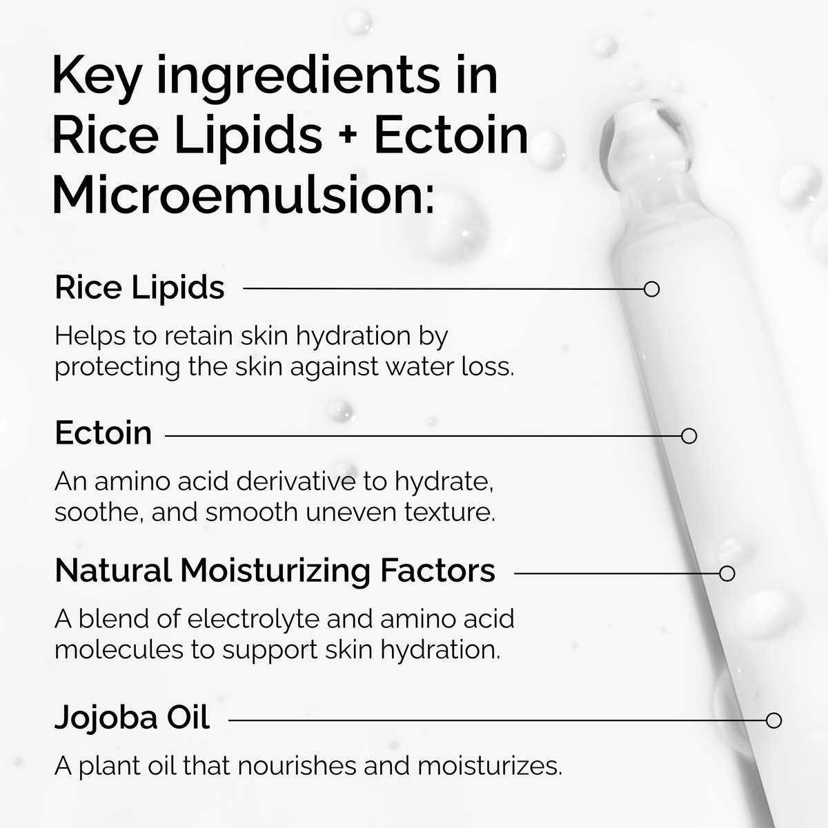rice-lipids-ectoin-microemulsion-q0 ord-rice-lipids-ectoin-microemulsion-key-ingredients.png