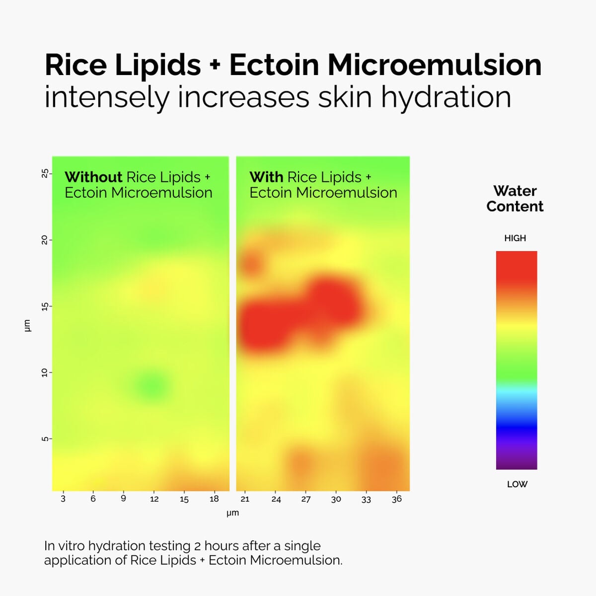 rice-lipids-ectoin-microemulsion-q0 ord-rice-lipids-ectoin-microemulsion-thermal-before-after.jpg